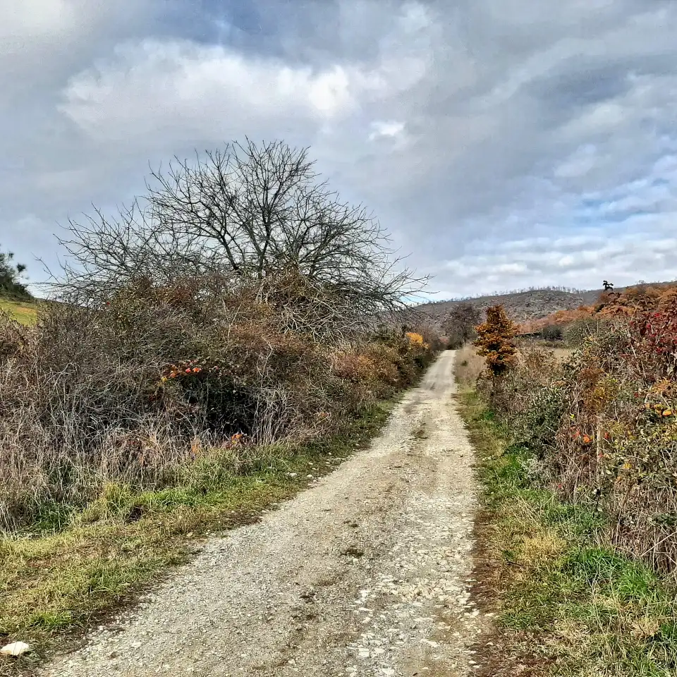 Antica Monterano La Bandita