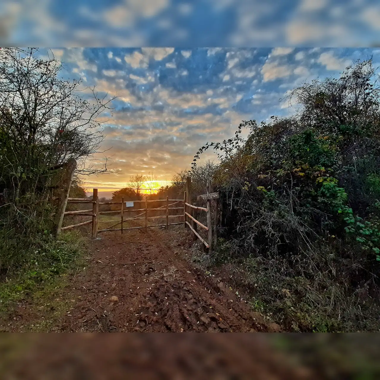 Antica Monterano Tramonto dalla Bandita