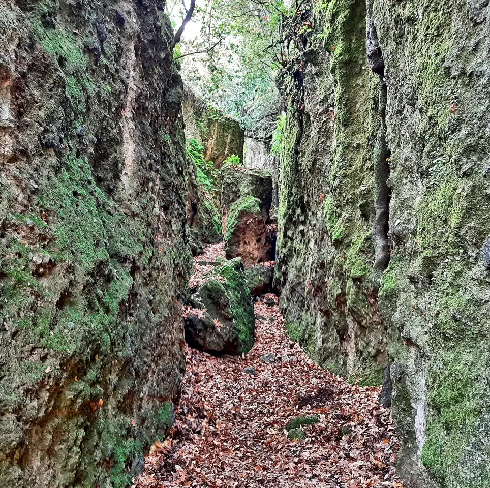 Antica Monterano Via Cava
