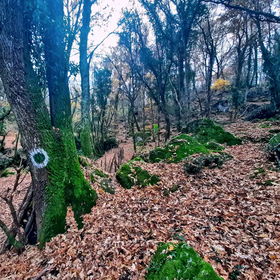 Antica Montetano Fosso del Rafanello