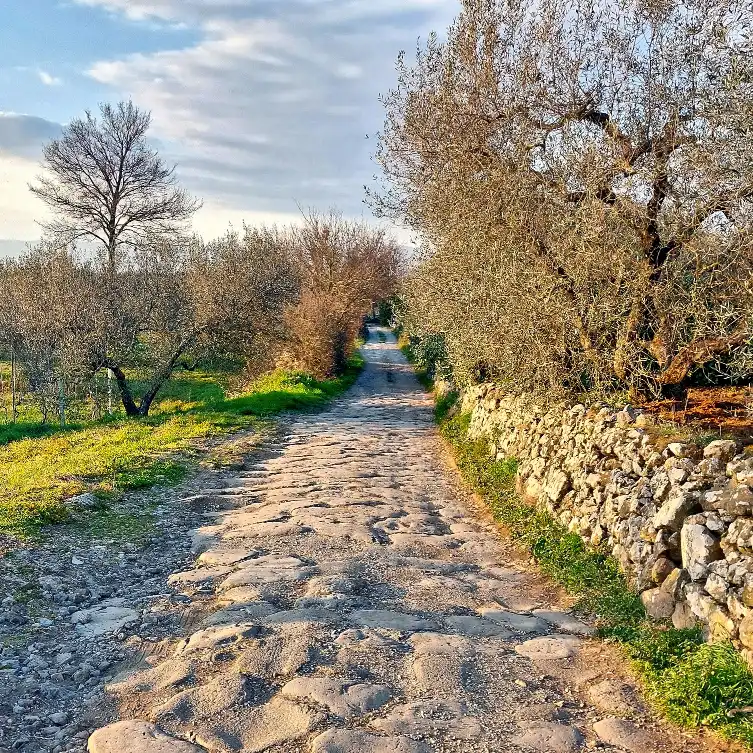 Basolato antica via Cassia sul colle La Guardata, nei pressi del Parco di Turona