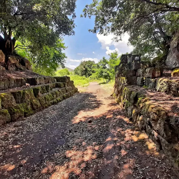 ACQUA ELEMENTO ESSENZIALE, NATURA RIGOGLIOSA, LE CASCATELLE DI CERVETERI, ATTRAVERSANDO UN ANTICO TERRITORIO ETRUSCO