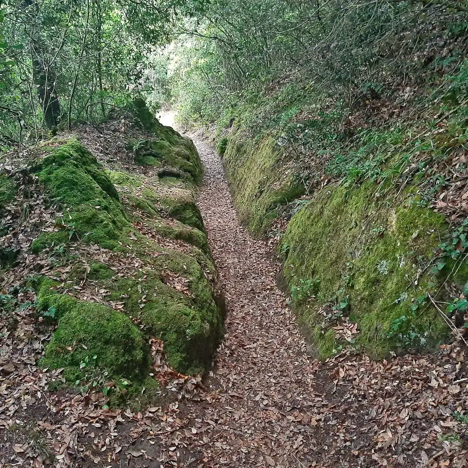 Cascatelle di Cerveteri Cascata 5
