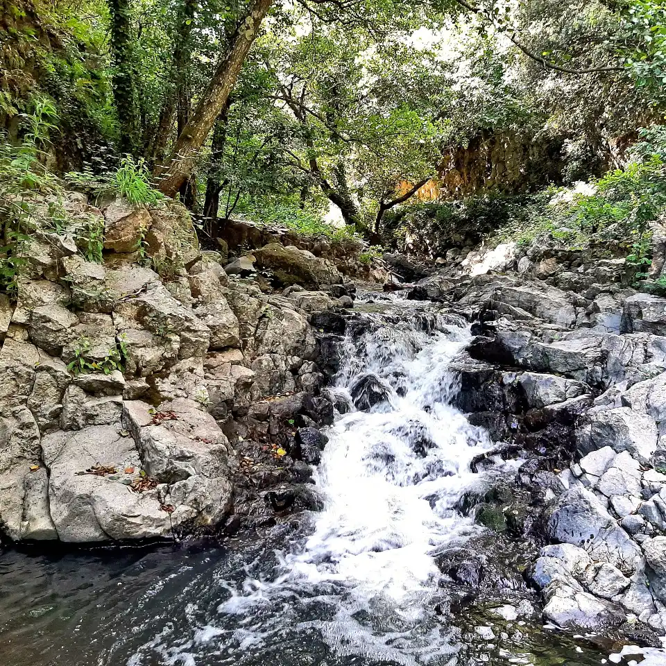 Cascatelle di Cerveteri Rio