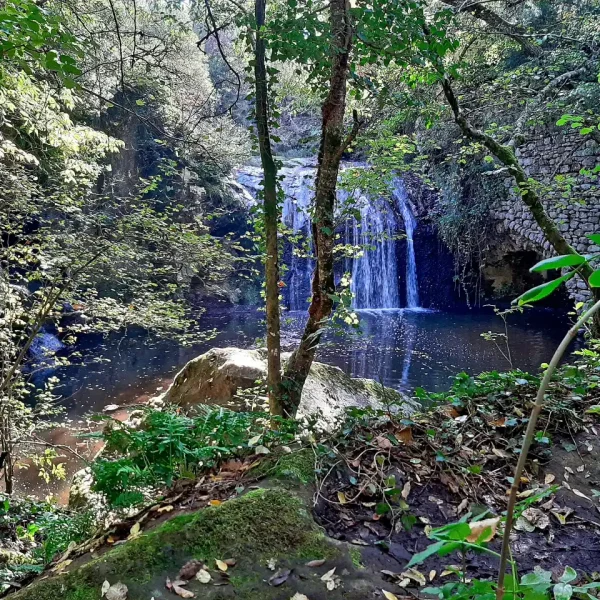DALL' ANTICO BORGO DI VITORCHIANO ALLA SCOPERTA DELL' AREA MONUMENTO NATURALE DI CORVIANO E CASCATA DEL MARTELLUZZO