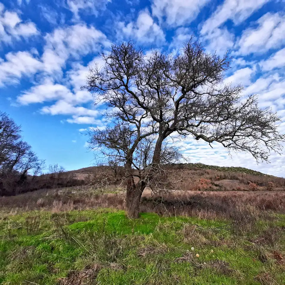 Le Sparne Panorama
