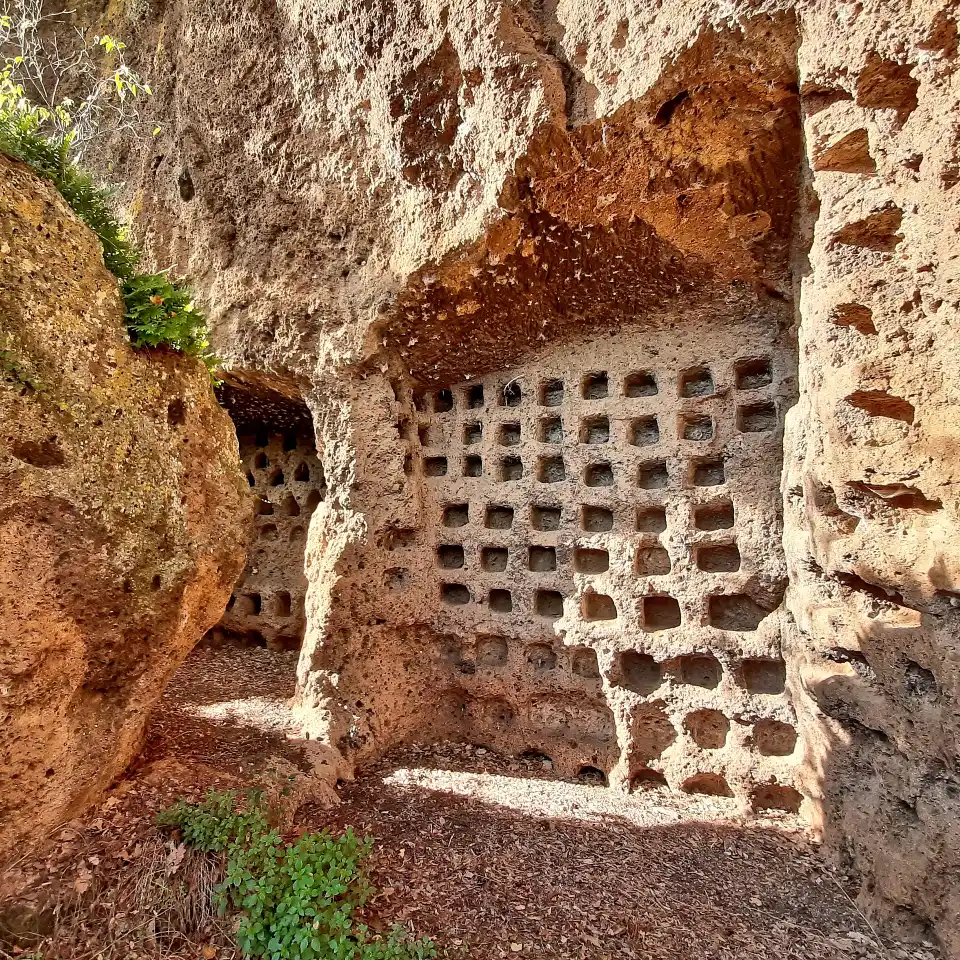Monte Casoli colombai