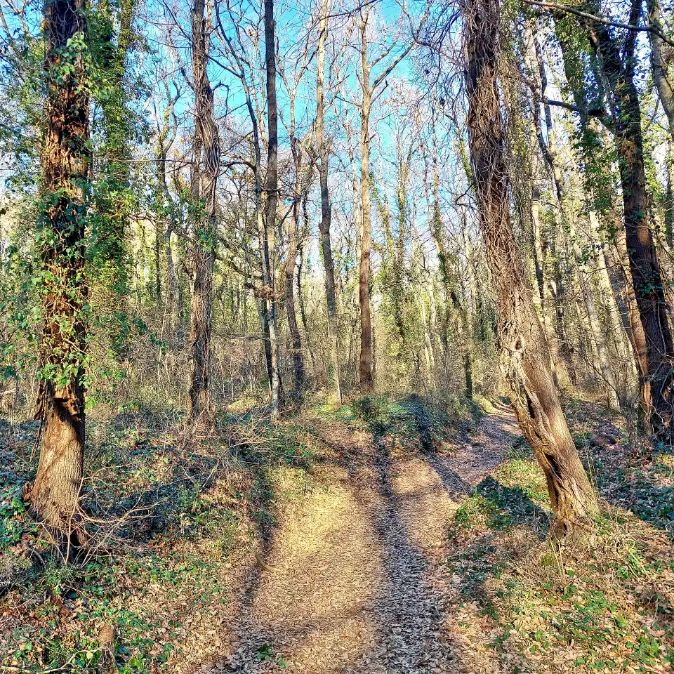 Parco di Turona tratto del sentiero