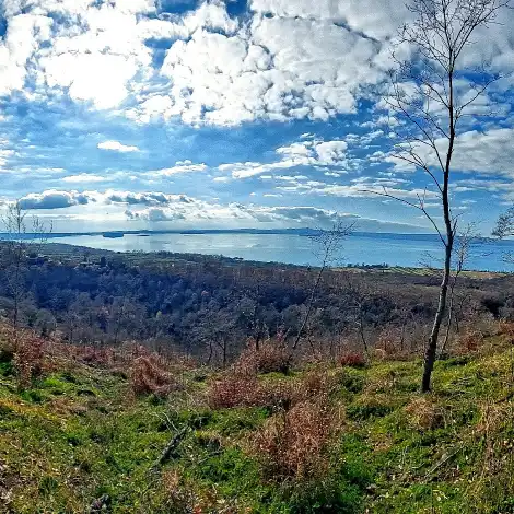 Parco di Turona vista del lago di Bolsena dal poggio di Arlena