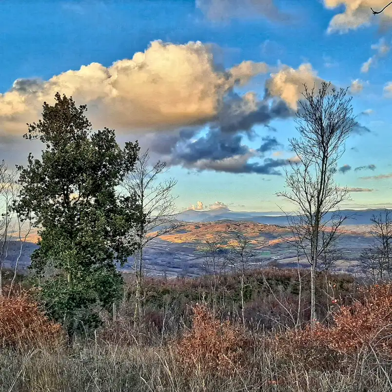 Poggio Buco Panorama