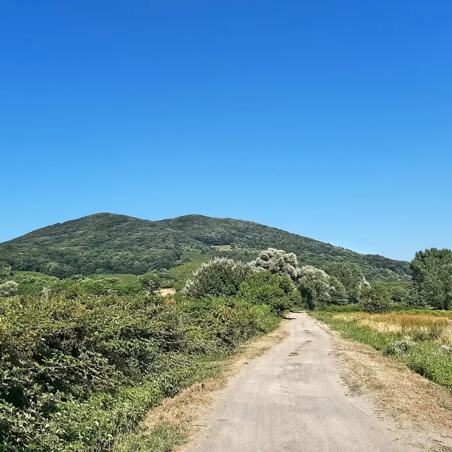 Riserva naturale lago di Vico le Pantanacce