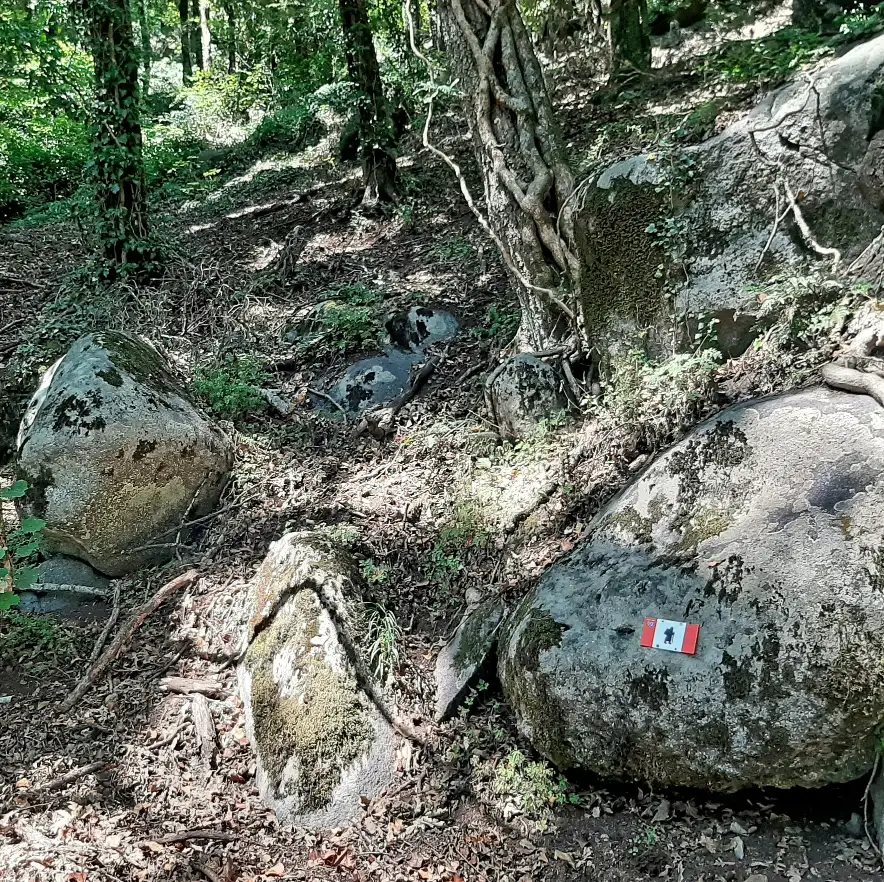 Riserva naturale lago di Vico particolare via Francigena Cimina