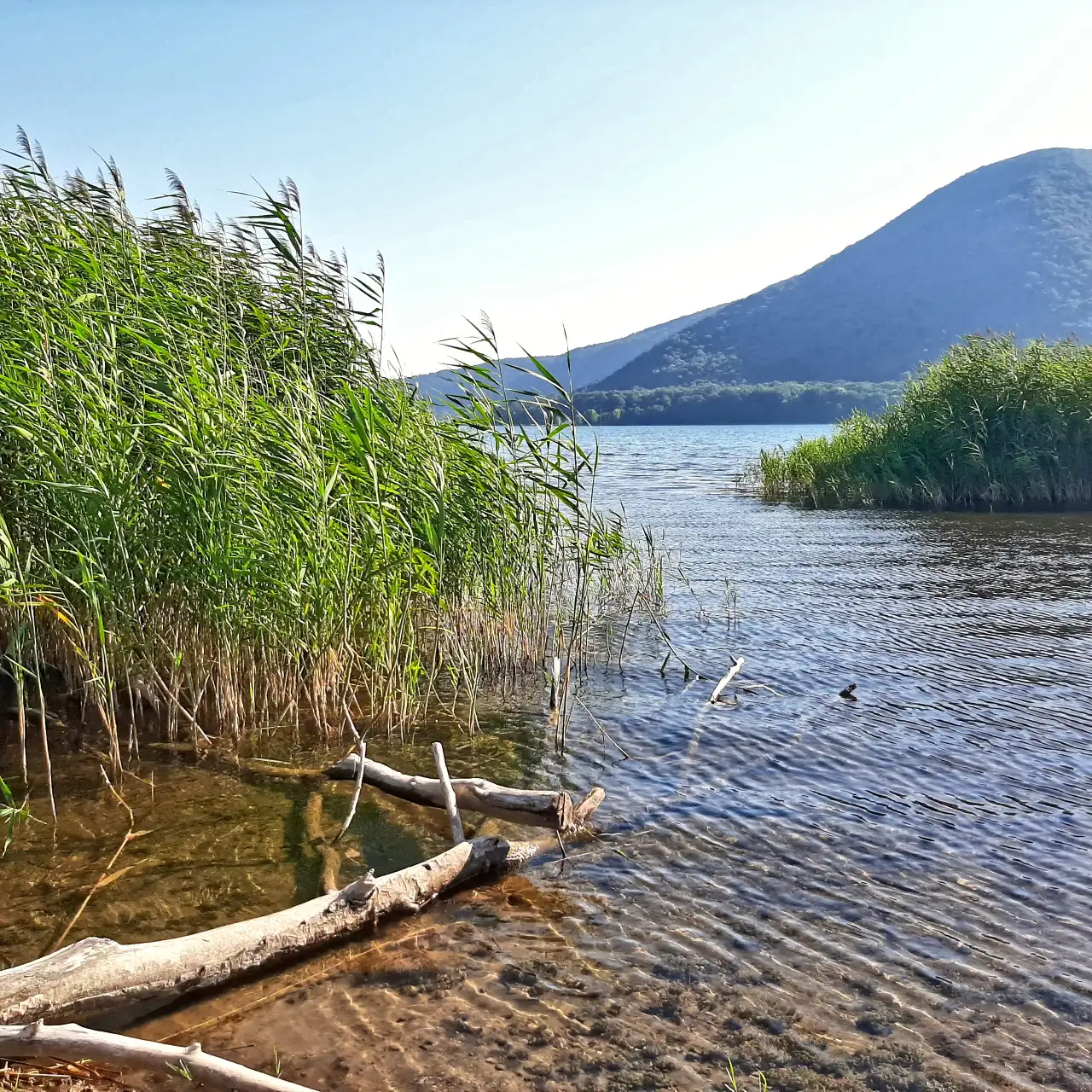 Riserva naturale lago di Vico vista del lago e Monte Foliano