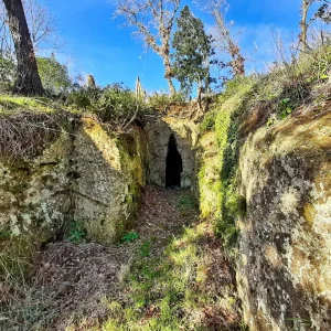 ANTICHI LUOGHI MISTERIOSI TRA LAZIO E TOSCANA, LUNGO IL CORSO DEL FIUME FIORA, NECROPOLI DI SELVA MICCIA E DI POGGIO BUCO