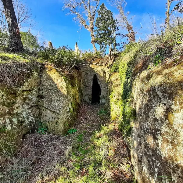 ANTICHI LUOGHI MISTERIOSI TRA LAZIO E TOSCANA, LUNGO IL CORSO DEL FIUME FIORA, NECROPOLI DI SELVA MICCIA E DI POGGIO BUCO