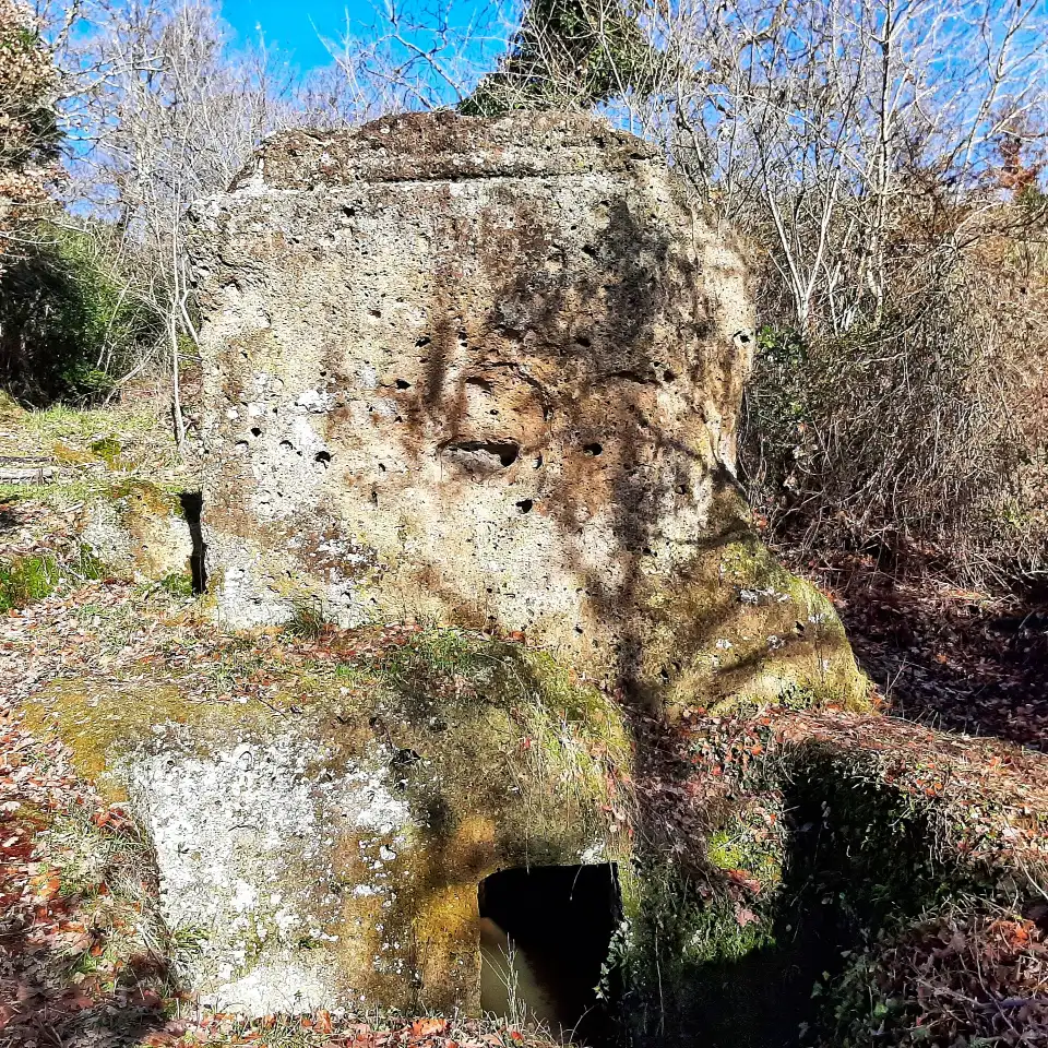 Selva Miccia Tomba a Dado