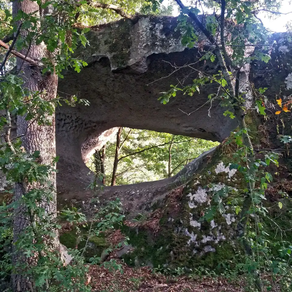 Selva di Malano Stargate