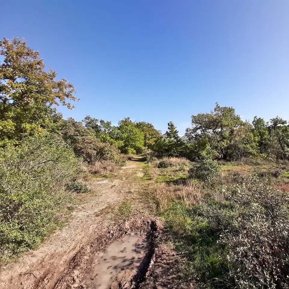 Riserva naturale di monte casoli dettaglio sentiero