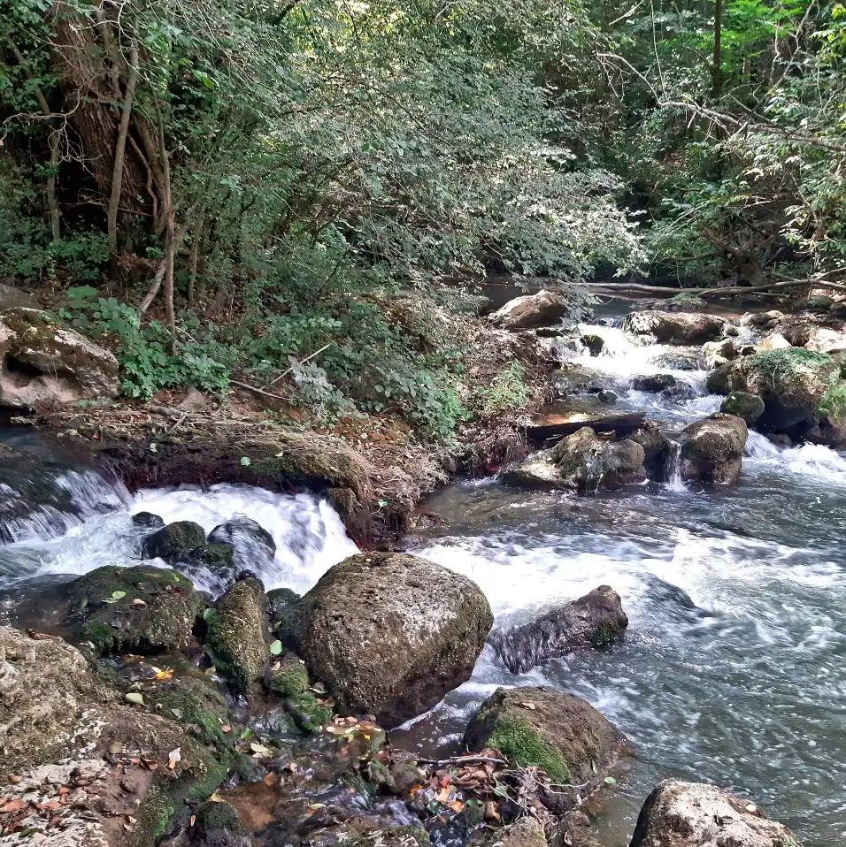 Selva di Malano fiume Vezza