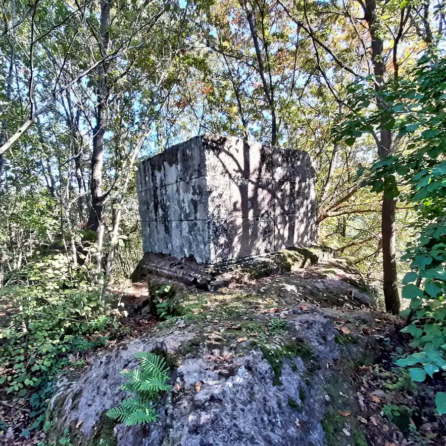 Selva di Malano monumento romano