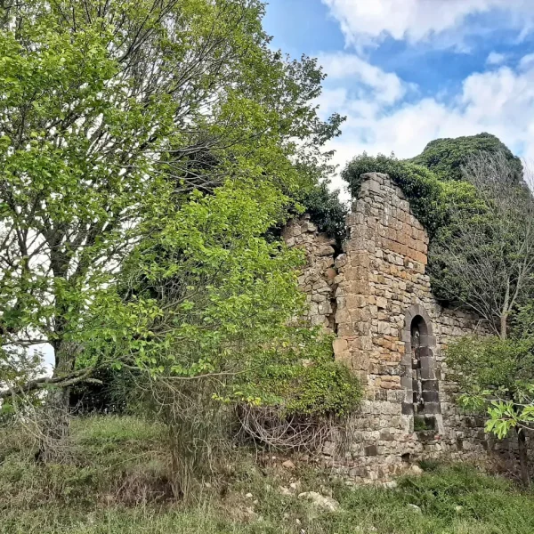 ALLA SCOPERTA DEI TESORI DELLA SELVA DI MEANA, L’ANTICO BORGO E VILLA CAHEN