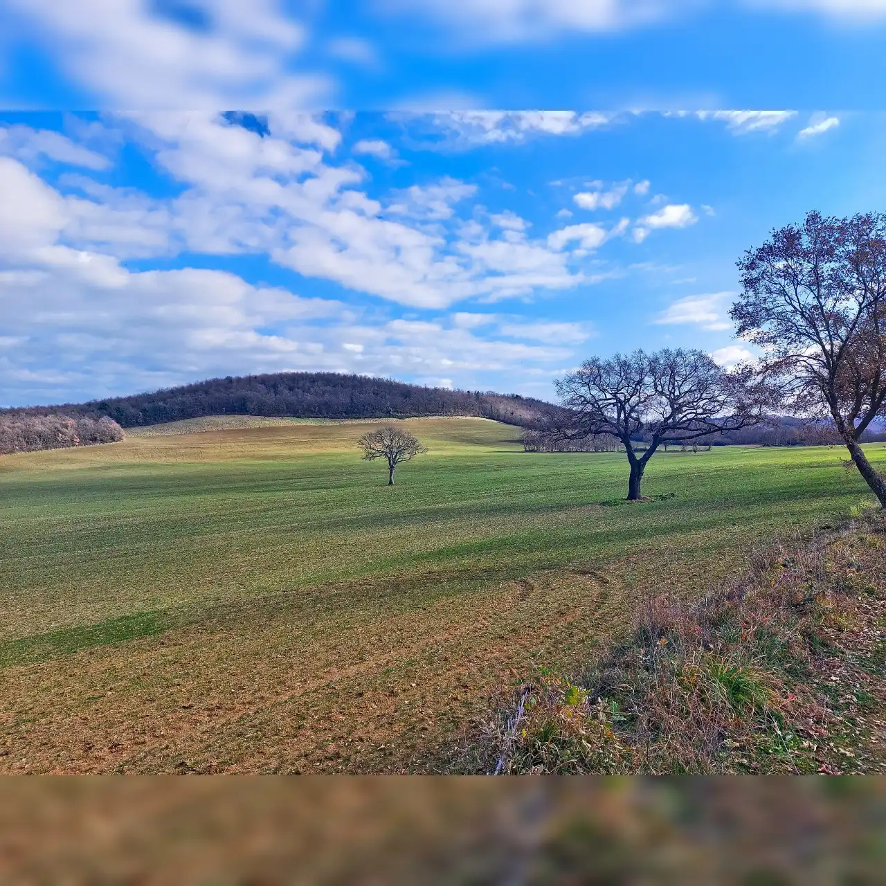 Vista delle meravigliose campagne nei pressi del parco di Turona e della via Romea Germanica