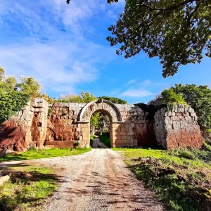 LA CIVILTÀ FALISCA, FALERII NOVI E CAVO DEGLI ZUCCHI, LE VIE CAVE LUNGO IL CORSO DEL RIO MAGGIORE, TAGLIATA FANTIBASSI