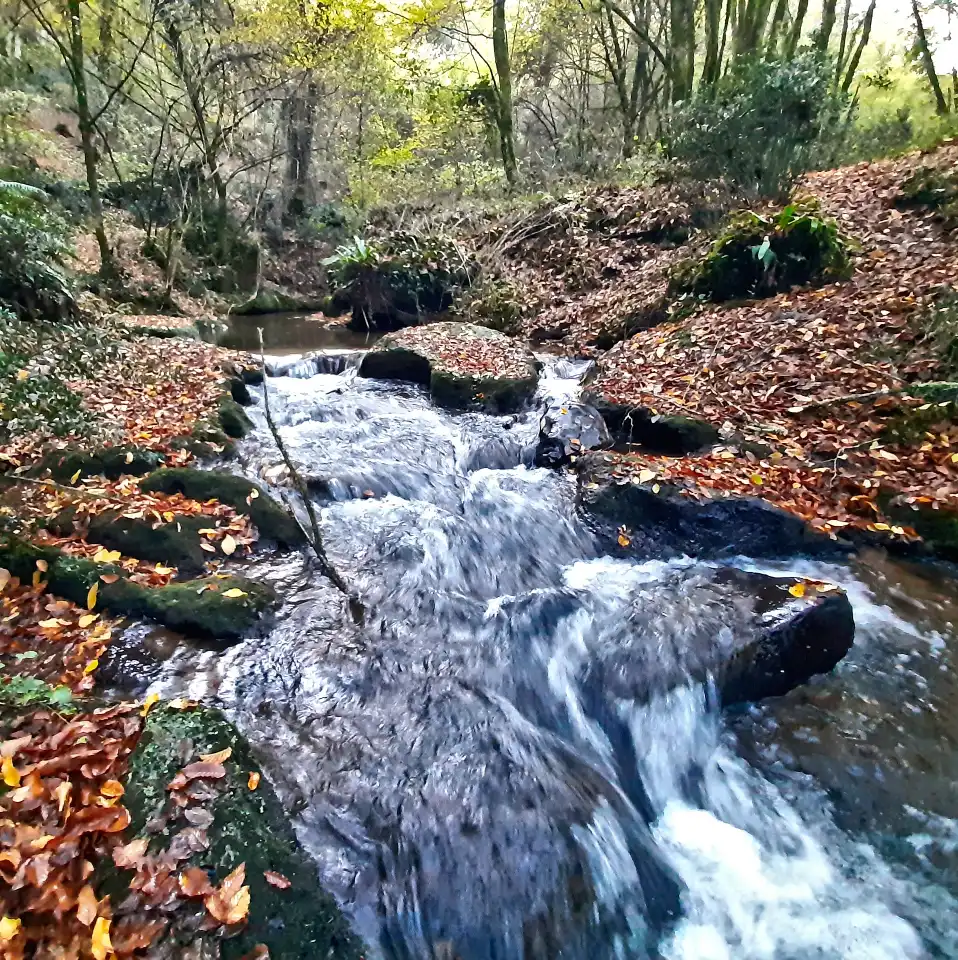 Falerii Novi rapide sul rio Maggiore
