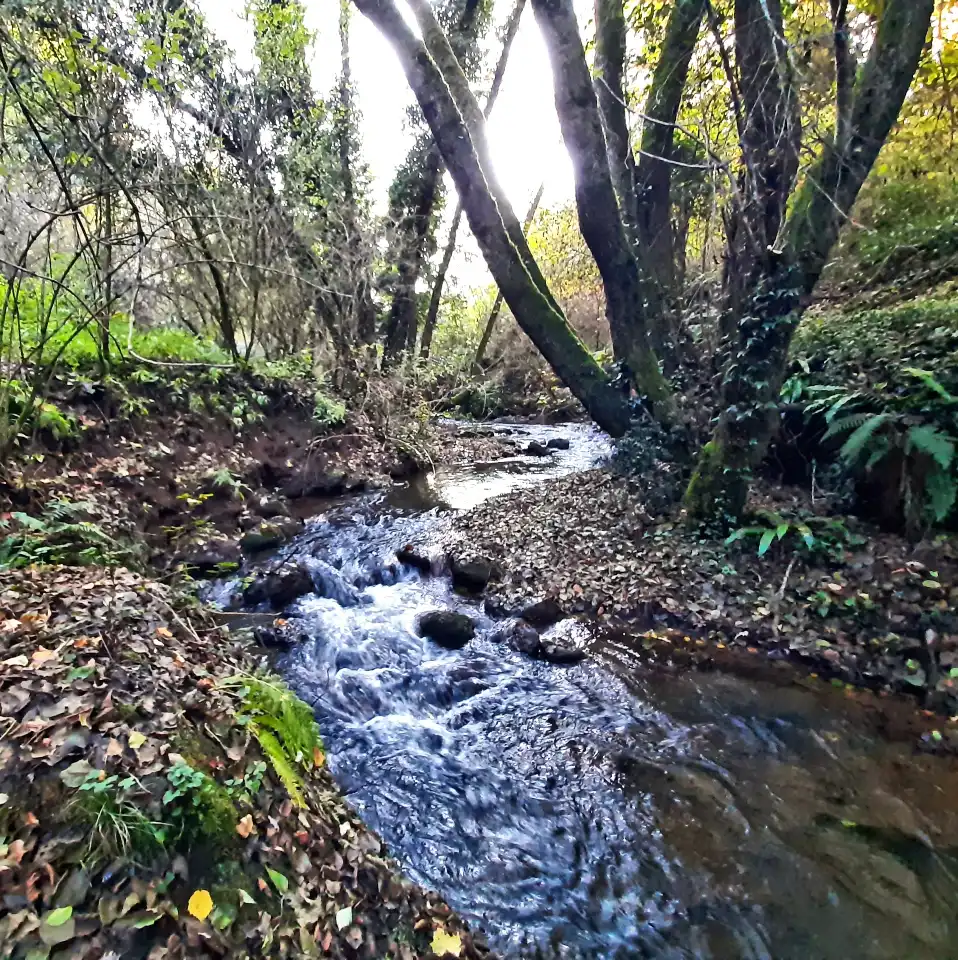 Falerii Novi scorcio sul rio Maggiore