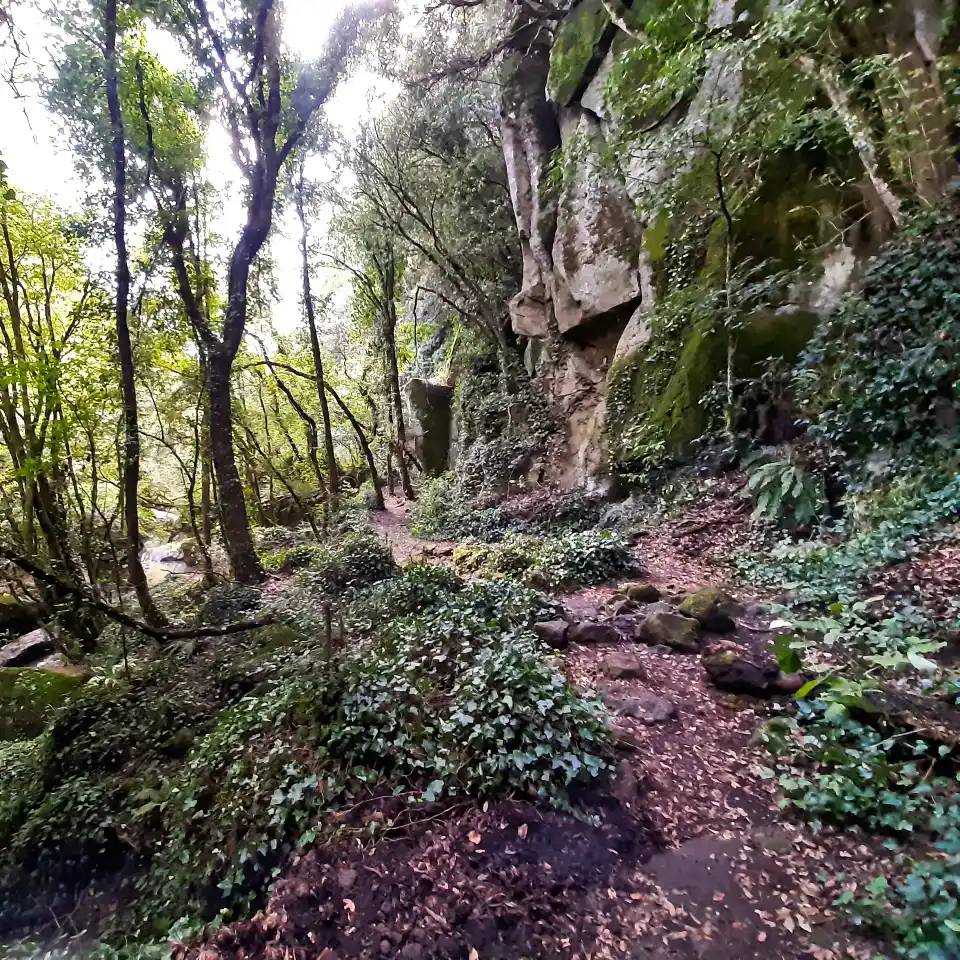 Cascate di Chia dettaglio sentiero
