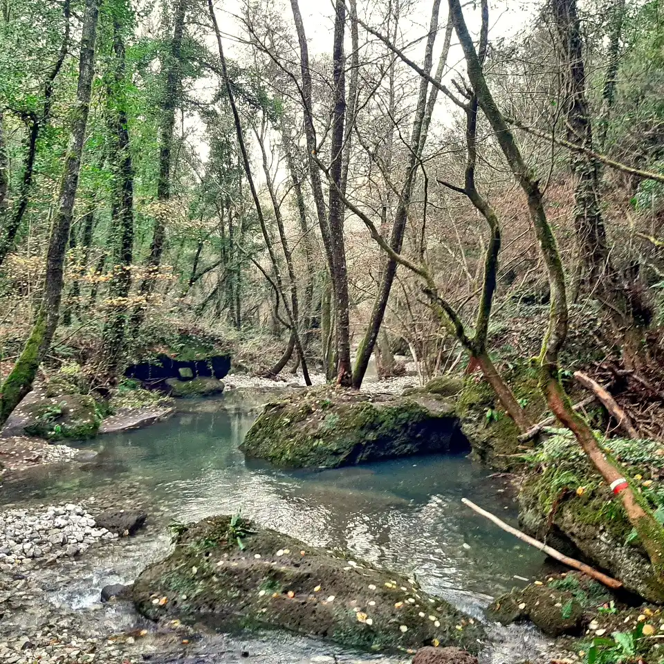 Gole del Biedano dettaglio forra