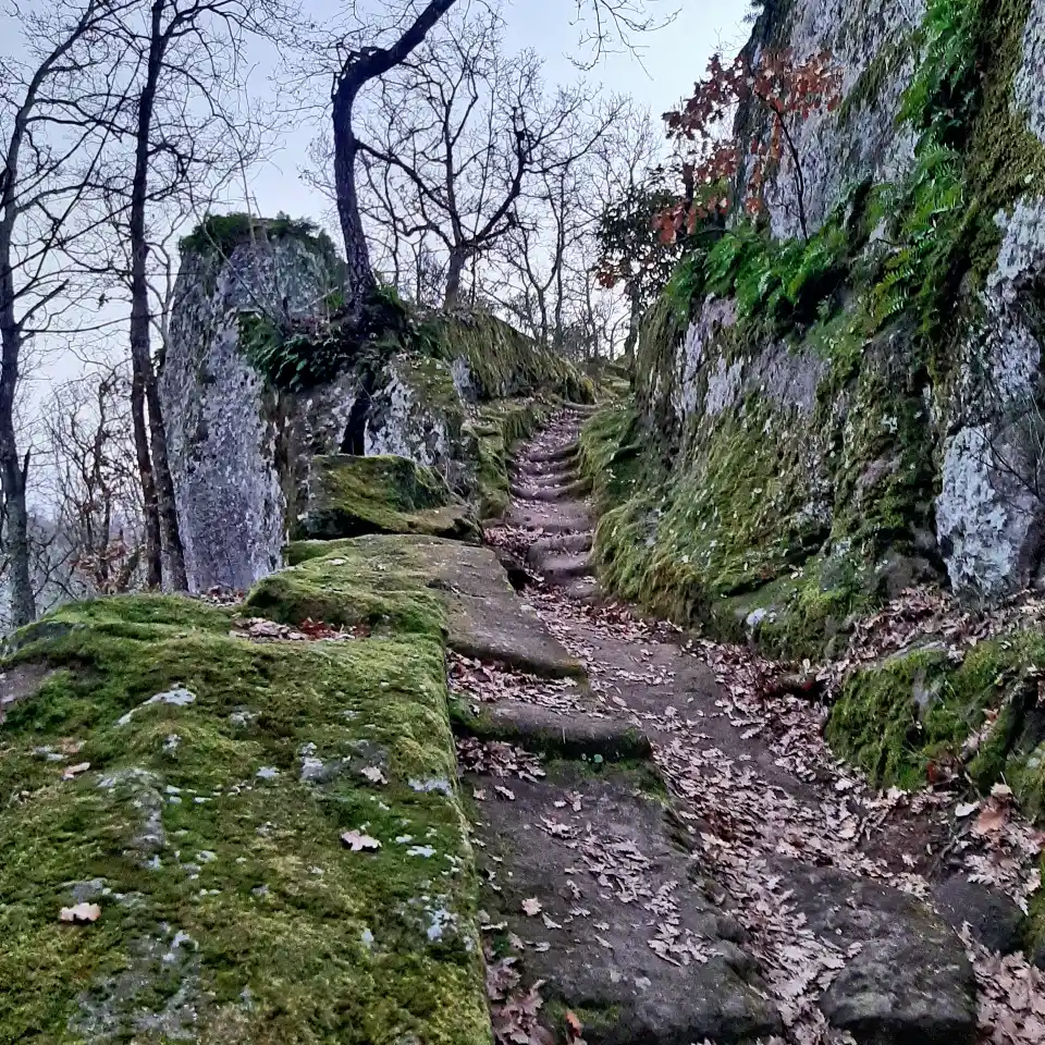 Necropoli di Santa Cecilia scala etrusca