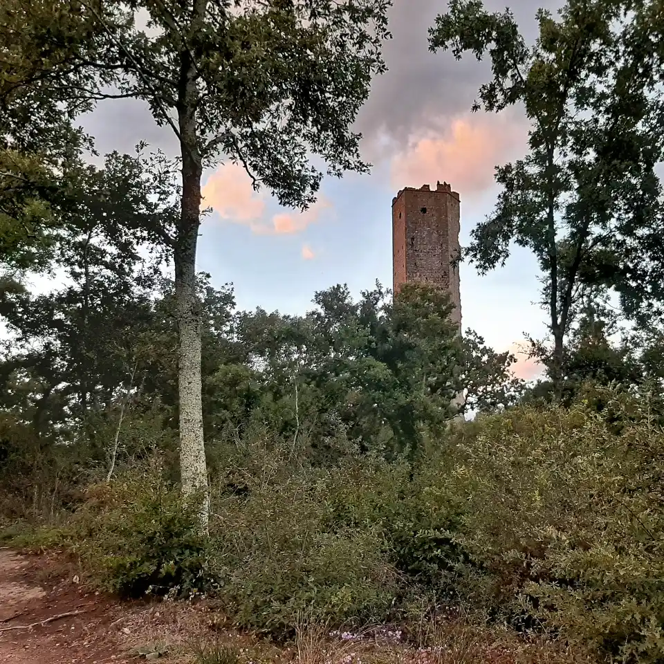 Torre Pasolini