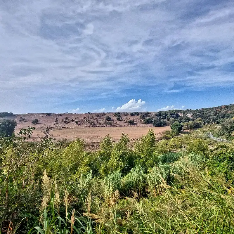 Parco archeologico naturalistico di Vulci la vallata del Fiora
