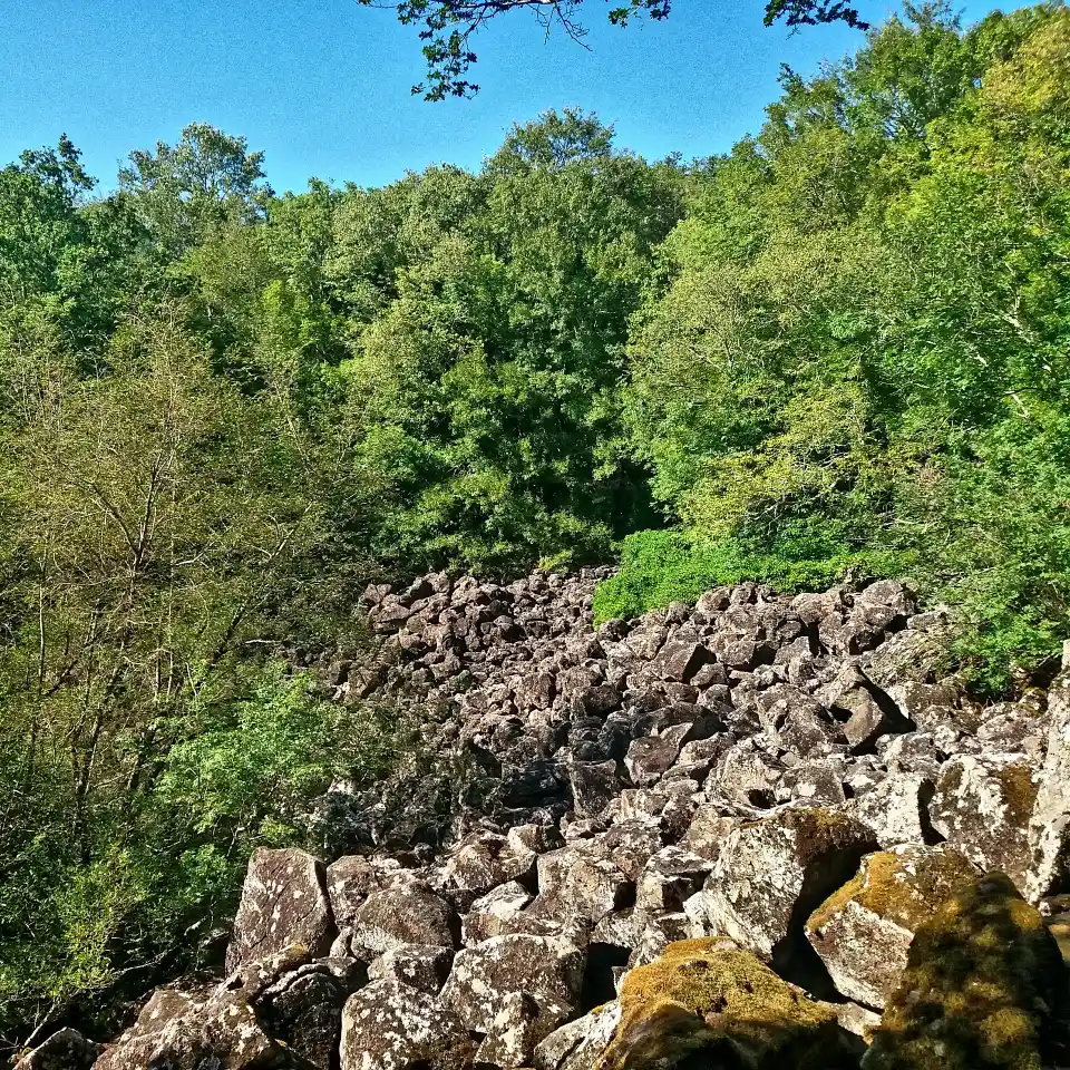 Selva del Lamone dettaglio del cratere di collasso Rosa Crepante