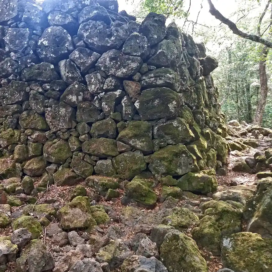 Selva del Lamone dettaglio di una torre delle mura di recinsione dell'abitato etrusco di Rofalco