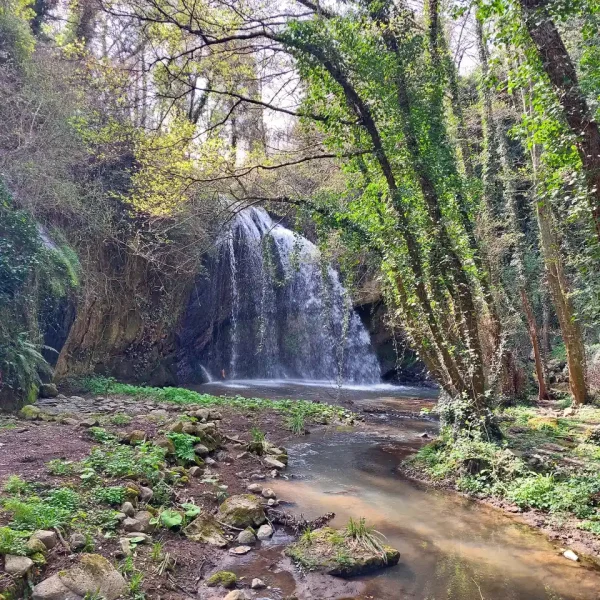 NATURA RIGOGLIOSA E ANTICHE TESTIMONIANZE, ESCURZIONE NEL TERRITORIO DI CASTEL CELLESI