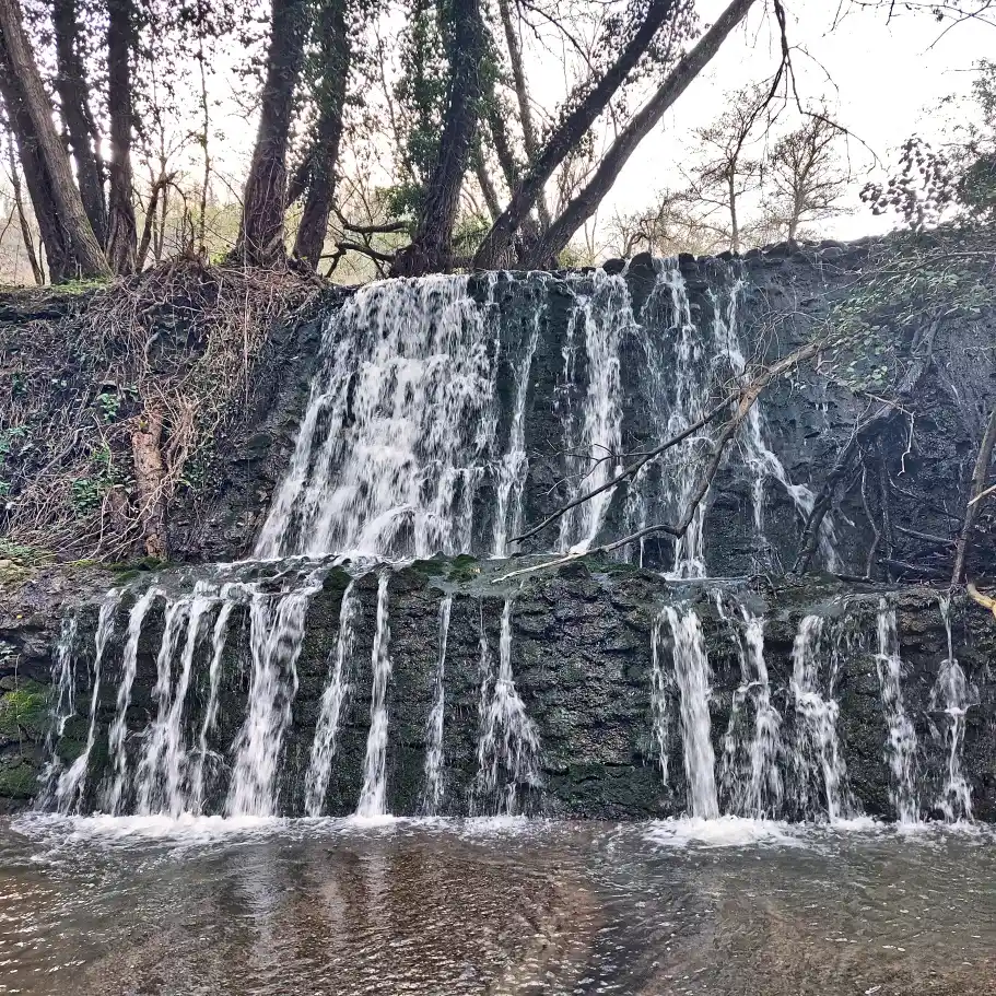 Castel Cellesi cascatelle alla confluenza nel rio Chiaro