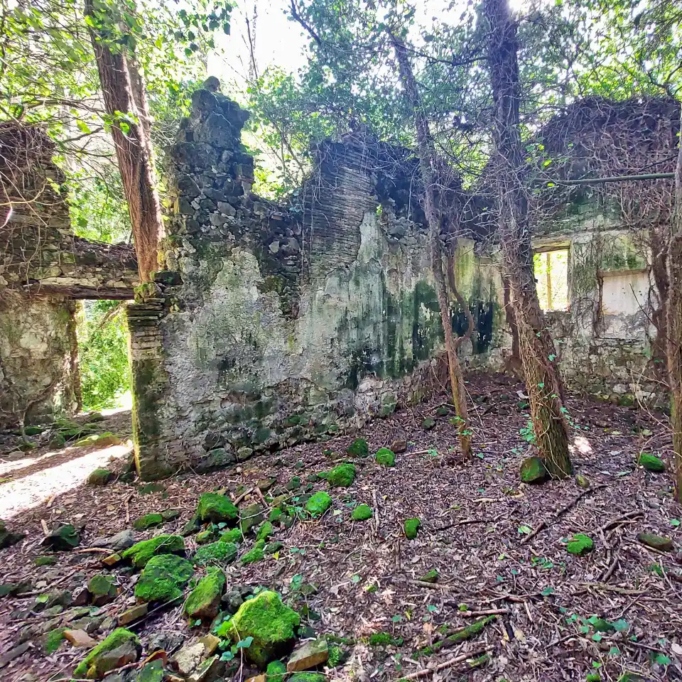 Castel Cellesi interno del mulino