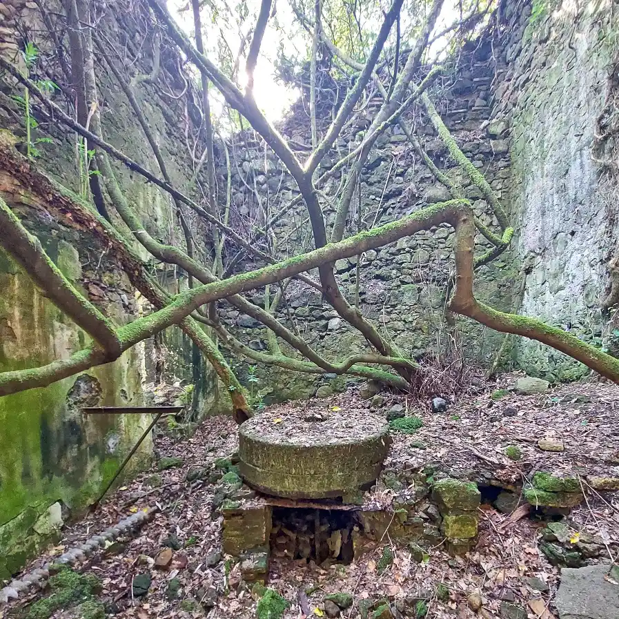 Castel Cellesi mulino dettaglio della mola in pietra
