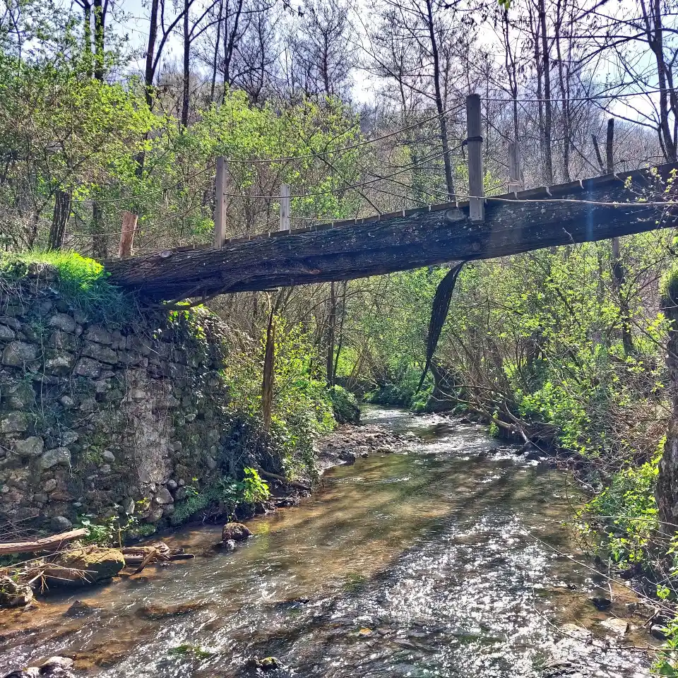 Castel Cellesi ponte sul rio della Ferriera