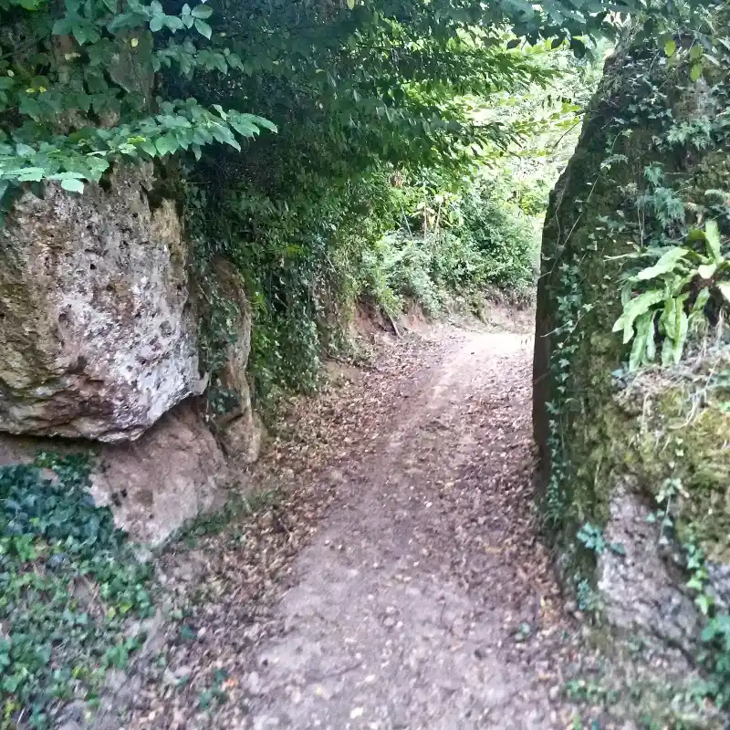 Da Nepi a Castel Sant'Elia dettaglio sentiero