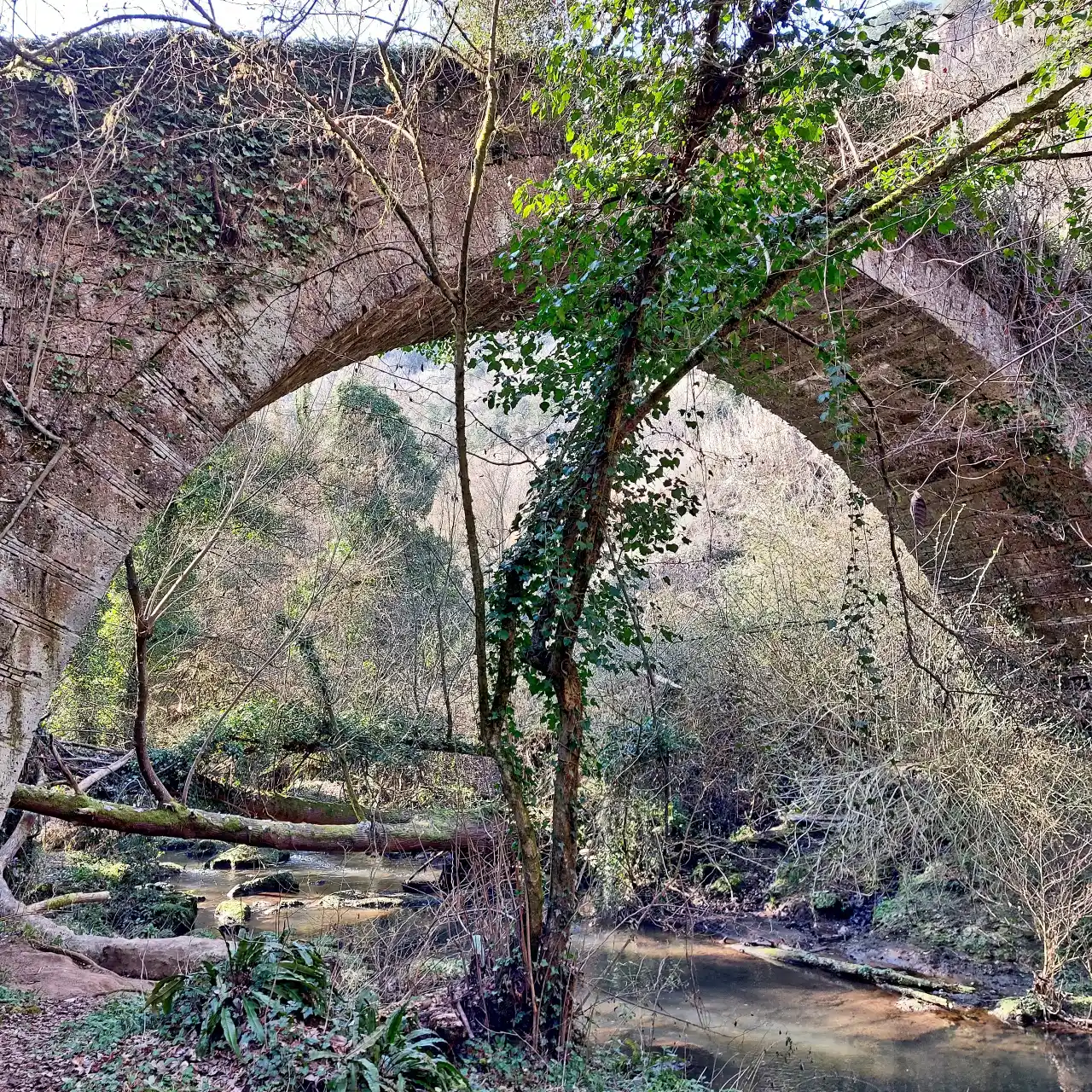 Da Nepi a Castel Sant'Elia ponte sul rio del Ponte di Castello vista dal basso