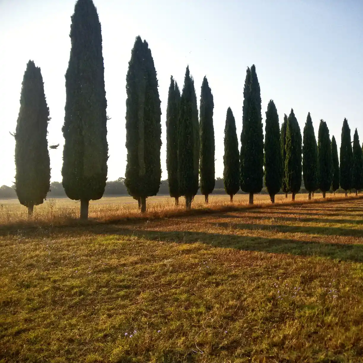 Da Nepi a Castel Sant'Elia vista sentiero