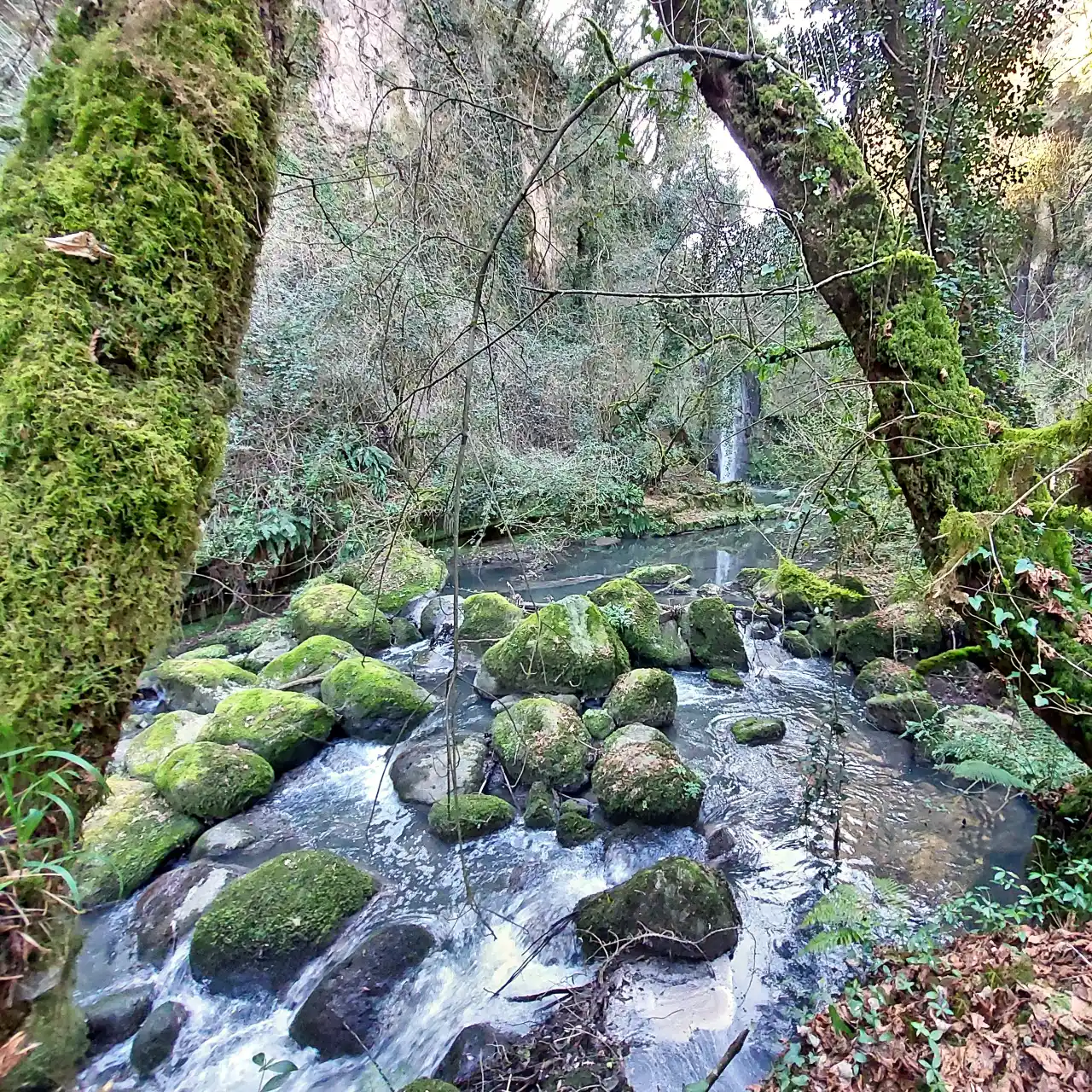 Da Nepi a Castel Sant'Elia vista sul rio della Bottata nei pressi della cascata del Picchio