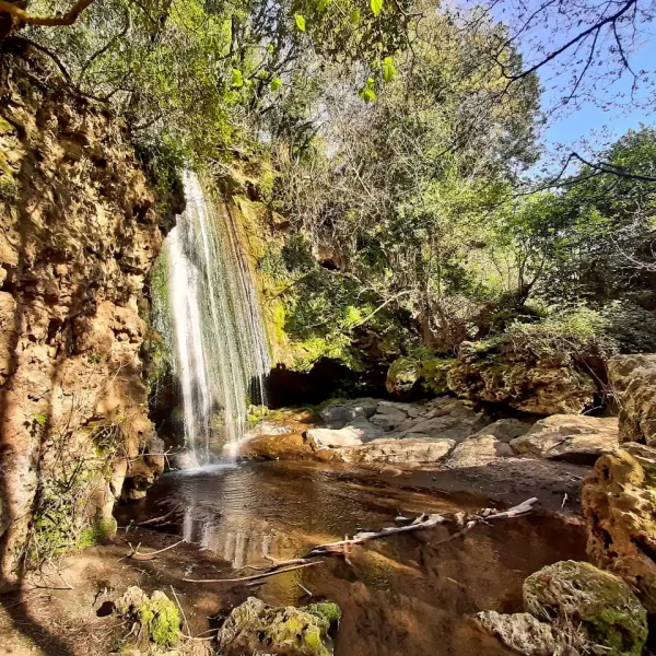 Eremo di Poggio Conte e le cascate sul fiume Fiora Copertina (cascata dello Strozzavolpe)