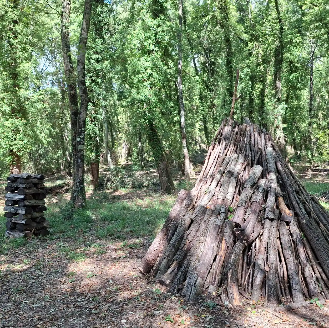 Riserva naturale Selva del Lamone Roppozzo ricostruzione di una carbonaia
