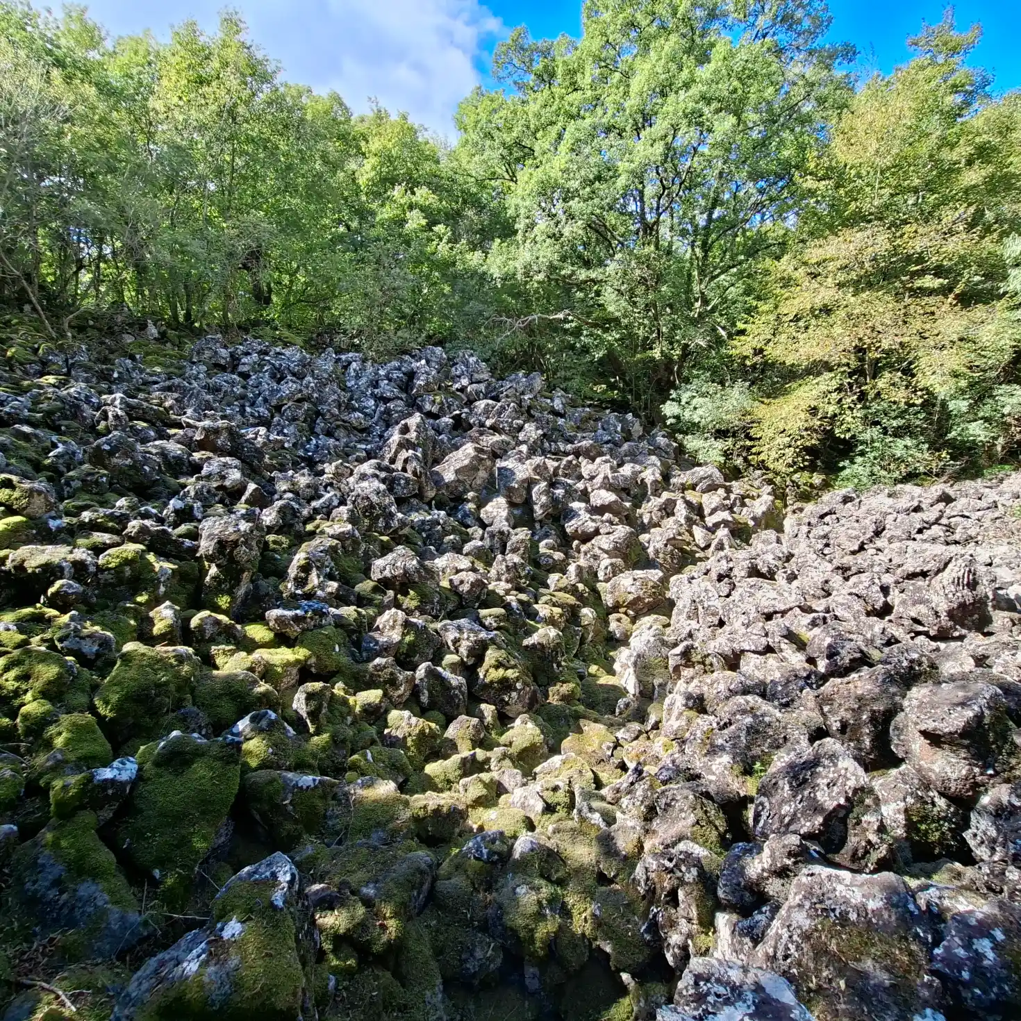 Riserva naturale Selva del Lamone dettaglio collasso di un condotto lavico