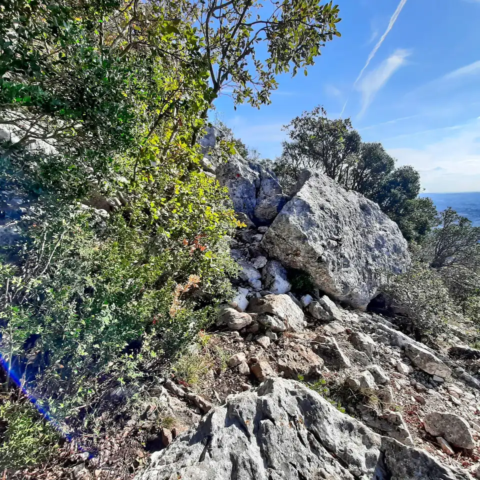 Monte Soratte dettaglio sentiero roccioso