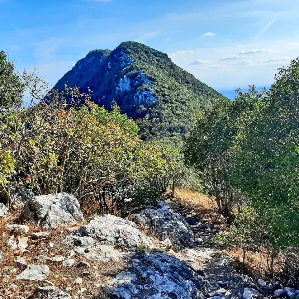 Monte Soratte veduta